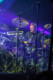 Disco Biscuits 2013-01-24-13-9434 thumbnail