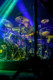 Disco Biscuits 2013-01-24-28-9433 thumbnail